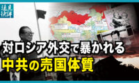 【遠見快評】対ロシア外交で暴かれる中共の売国体質。中共は本当に中立か？プーチンは体面的な撤退を模索中？中国旅客機「垂直墜落」の謎、人禍かそれとも天災か？