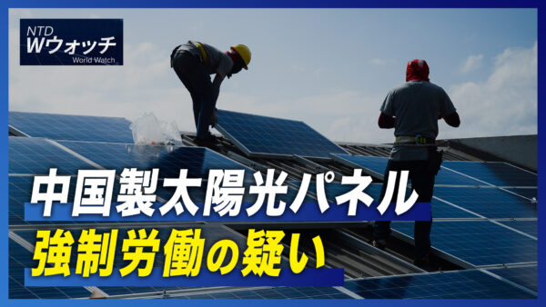 フリーダムハウス「ますます多くの国が北京の影響力に抵抗」/インド 一部米品種に20％の課税  など｜NTD  ワールドウォッチ（2022年9月12日）