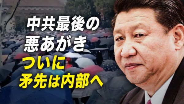 武漢で大規模抗議デモ、ついにニラ狩りの鎌を内部に向け始めた、中共最期の悪あがき【秦鵬直播】