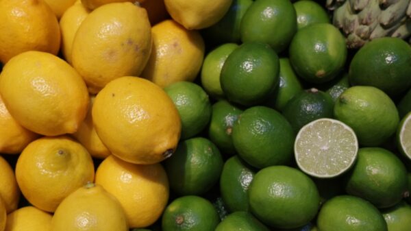 中国でレモン価格急落　レモネード1杯約0.2円