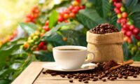 コーヒー先物価格2割上昇　アジアの高温天候が原因