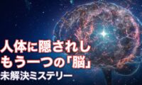 人体に隠されし　もう一つの「脳」【未解決ミステリー】