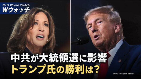 元選挙顧問：中共が大統領選に影響ートランプ氏の勝利は？/《正義のハンター》カナダで初上映、マタス氏に敬意 など｜NTD ワールドウォッチ（2024年10月28日）