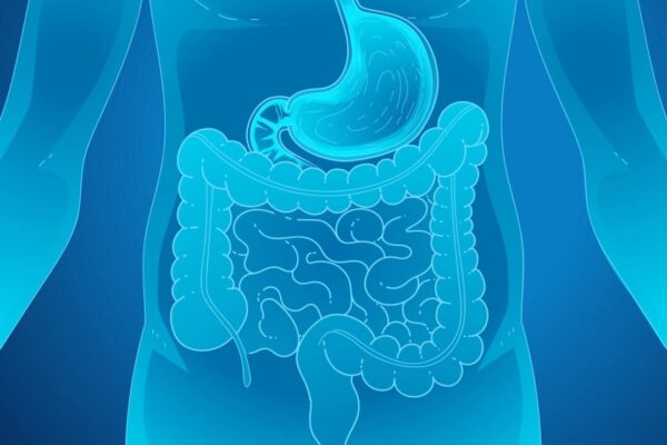 筋肉増強の敵？　吸収不良の原因と改善方法