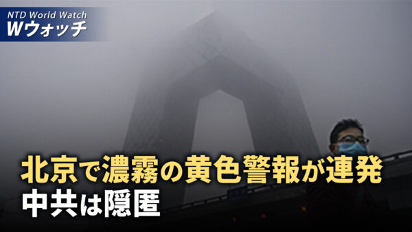 北京で濃霧の黄色警報が連続発令 中共は隠匿/NYの「地下鉄サーフィン」で6人が死亡 など｜NTD ワールドウォッチ（2024年11月6日）