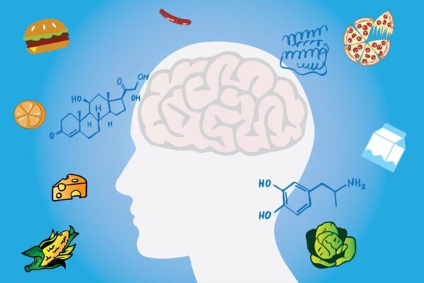 カロリー制限だけでは減量は続かない？　鍵はホルモンにあり