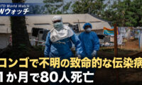 今年のGDP目標達成？ 中共メディアが逃げ道？/コンゴで不明の致命的な伝染病 1か月で80人死亡 など｜NTD ワールドウォッチ（2024年12月9日）