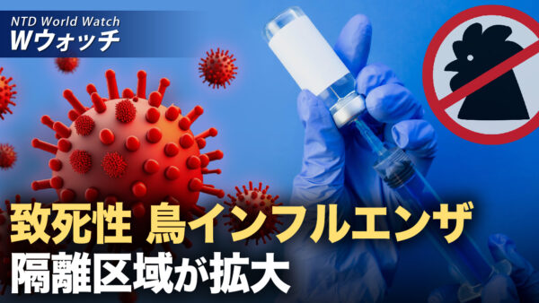 致死性 鳥インフルエンザ 隔離区域が拡大/中ロ協力に警戒  NATOが大西洋横断協力強化を呼びかけ  など｜NTD ワールドウォッチ（2025年01月15日）