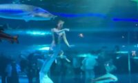 噛まれた人魚役　中国の水族館が口止め料【動画あり】