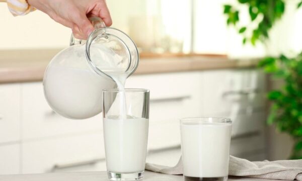 正しい牛乳習慣で血管と健康を守る