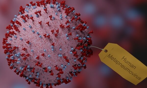 コロナ発生から5年　中国で新たな呼吸器ウイルス「hMPV」が拡大